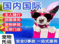 兰旗机场托运国际宠物托运 【国